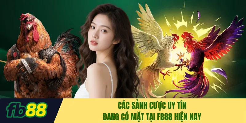 Các sảnh cược uy tín đang có mặt tại FB88 hiện nay