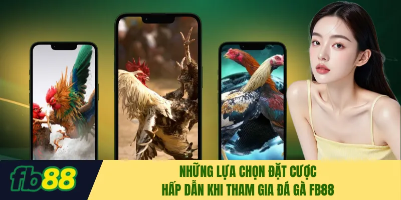 Những lựa chọn đặt cược hấp dẫn khi tham gia đá gà FB88